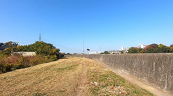 gx011209.mp4_snapshot_01.08_thumb.jpg