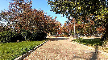 gx011209.mp4_snapshot_02.07_thumb.jpg