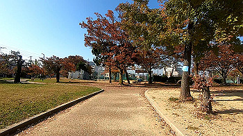 gx011209.mp4_snapshot_02.15_thumb.jpg