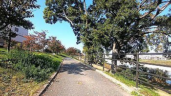 gx011209.mp4_snapshot_03.03_thumb.jpg