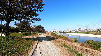 gx011209.mp4_snapshot_03.14_thumb.jpg