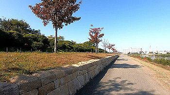 gx011209.mp4_snapshot_03.49_thumb.jpg