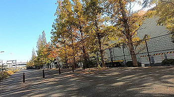gx011218.mp4_snapshot_00.09_thumb.jpg