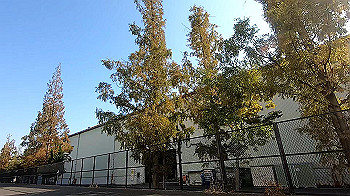 gx011218.mp4_snapshot_00.22_thumb.jpg