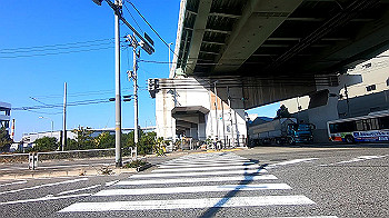 gx011218.mp4_snapshot_01.07_thumb.jpg