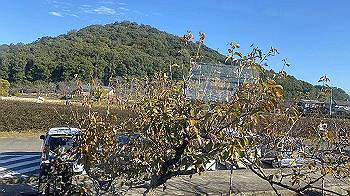 20201119_001029429_ios_thumb.jpg