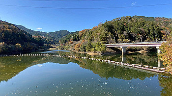 20201119_021612579_ios_thumb.jpg
