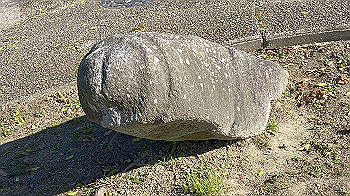 20201119_040045786_ios_thumb.jpg