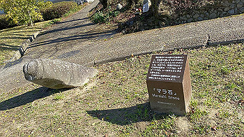 20201119_040100832_ios_thumb.jpg