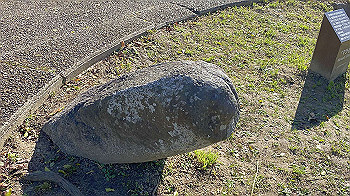 20201119_040121048_ios_thumb.jpg