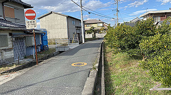 20201119_053115908_ios_thumb.jpg