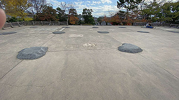 20201119_060346769_ios_thumb.jpg