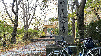 20201126_031313826_ios_thumb.jpg