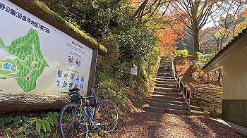 20201126_031550750_ios_thumb.jpg
