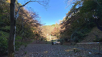 20201126_032349370_ios_thumb.jpg