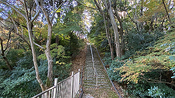 20201126_032617424_ios_thumb.jpg
