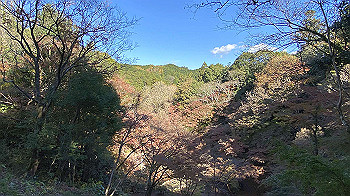20201126_032623545_ios_thumb.jpg