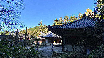 20201126_033818019_ios_thumb.jpg
