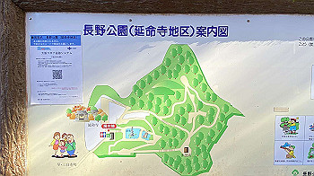 20201126_034020087_ios_thumb.jpg