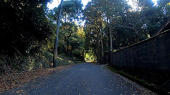 gh011280.mp4_snapshot_00.08_thumb.jpg