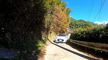 gh011280.mp4_snapshot_00.16_thumb.jpg