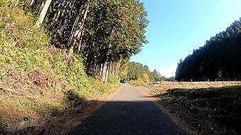 gh011280.mp4_snapshot_00.26_thumb.jpg