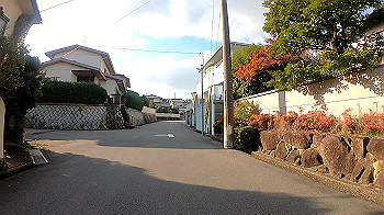 gh011293.mp4_snapshot_00.04_thumb.jpg