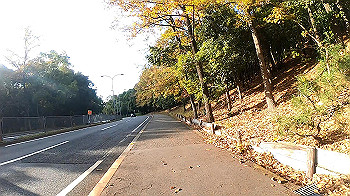 gh011294.mp4_snapshot_00.03_thumb.jpg