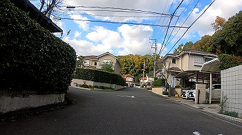 gh011294.mp4_snapshot_00.05_thumb.jpg