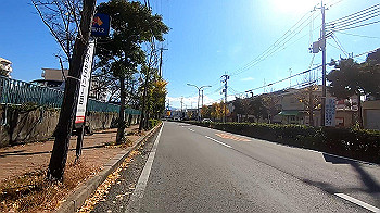 gx011266_x264.mp4_snapshot_00.00_thumb.jpg