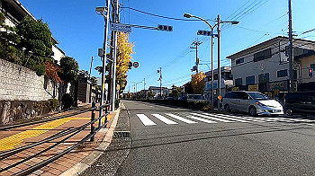 gx011267_x264.mp4_snapshot_00.08_thumb.jpg