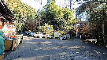 gx011273_x264.mp4_snapshot_09.04_thumb.jpg
