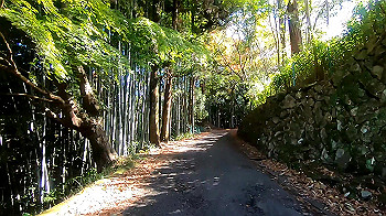 gx011275_x264.mp4_snapshot_00.30_thumb.jpg