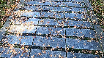 gx011276_x264.mp4_snapshot_00.34_thumb.jpg