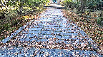 gx011276_x264.mp4_snapshot_00.40_thumb.jpg