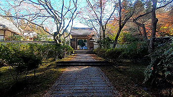 gx011276_x264.mp4_snapshot_00.45_thumb.jpg