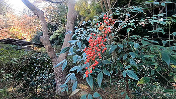 gx011276_x264.mp4_snapshot_00.50_thumb.jpg