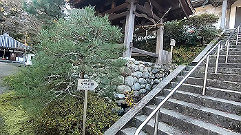 gx011276_x264.mp4_snapshot_02.04_thumb.jpg
