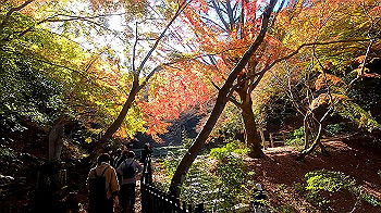 gx011276_x264.mp4_snapshot_03.28_thumb.jpg