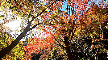 gx011276_x264.mp4_snapshot_03.33_thumb.jpg