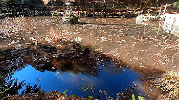 gx011276_x264.mp4_snapshot_04.04_thumb.jpg