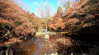 gx011276_x264.mp4_snapshot_04.55_thumb.jpg