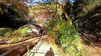 gx011276_x264.mp4_snapshot_06.07_thumb.jpg