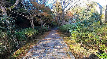 gx011277_x264.mp4_snapshot_00.07_thumb.jpg