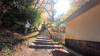 gx011279_x264.mp4_snapshot_00.03_thumb.jpg