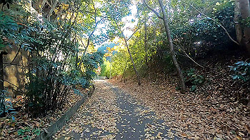 gx011285_x264.mp4_snapshot_03.15_thumb.jpg