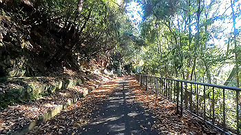 gx011285_x264.mp4_snapshot_04.20_thumb.jpg