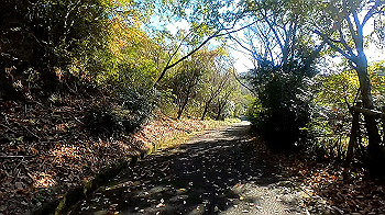 gx011285_x264.mp4_snapshot_08.32_thumb.jpg