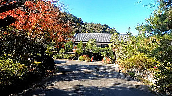 gx011285_x264.mp4_snapshot_09.46_thumb.jpg