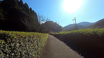 gx011285_x264.mp4_snapshot_12.49_thumb.jpg